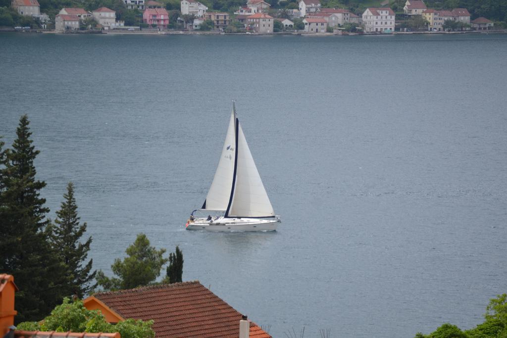 Apartments Dobrisa Kotor Zewnętrze zdjęcie