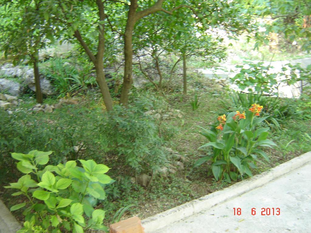 Apartments Dobrisa Kotor Zewnętrze zdjęcie
